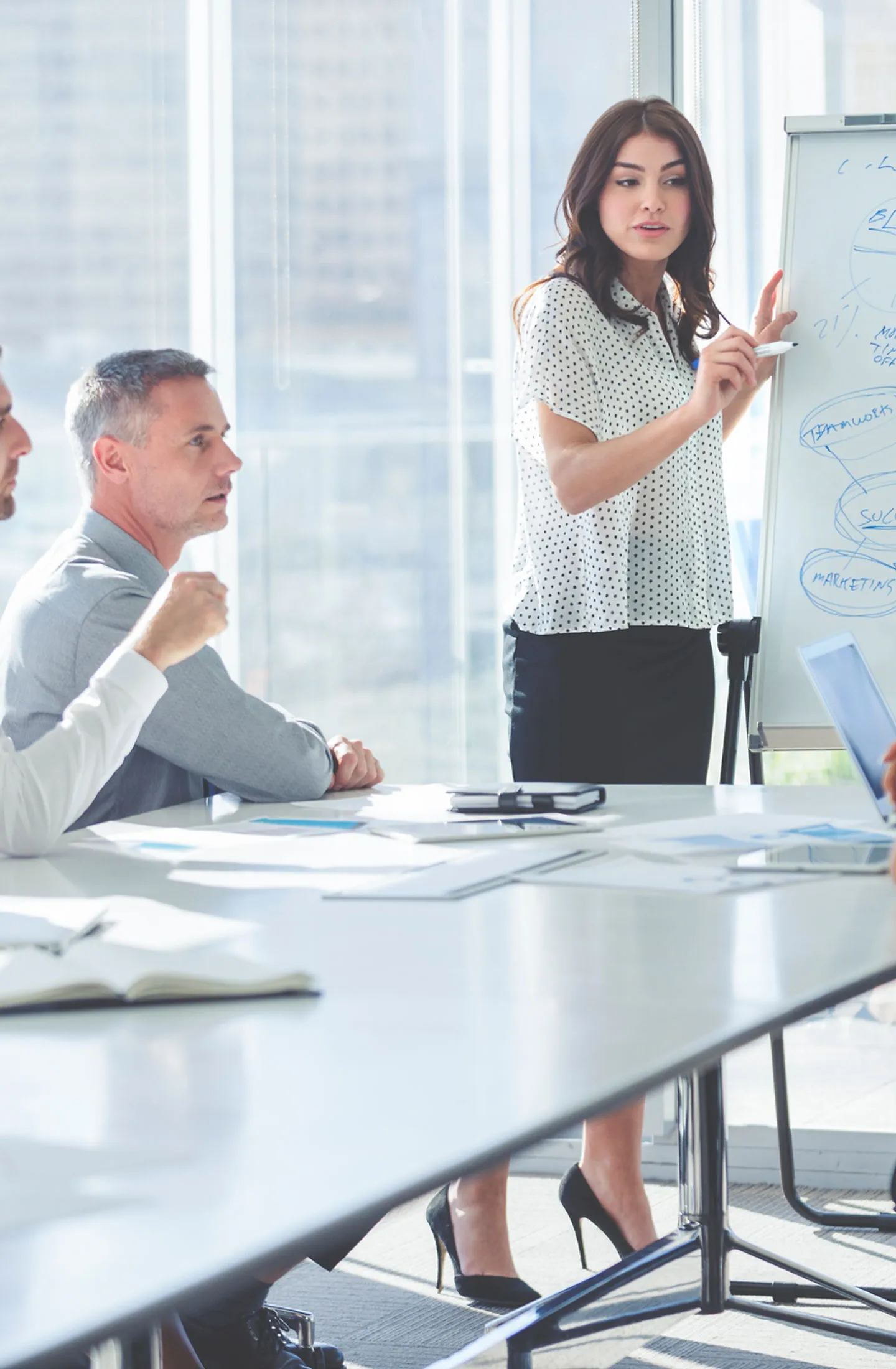 Train The Trainers - Técnicas para Apresentação — curso de Reinaldo Polito